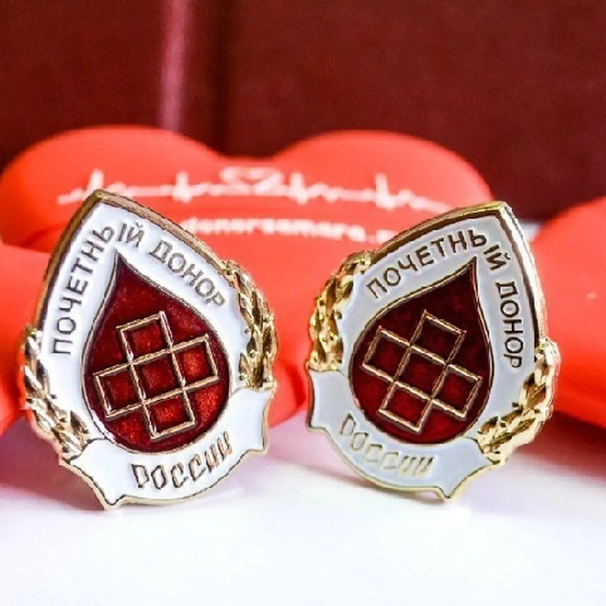 Фото из интернета