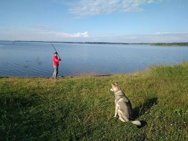 7 лет назад это было