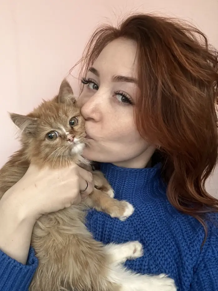 Будни в ветеринарной клинике.