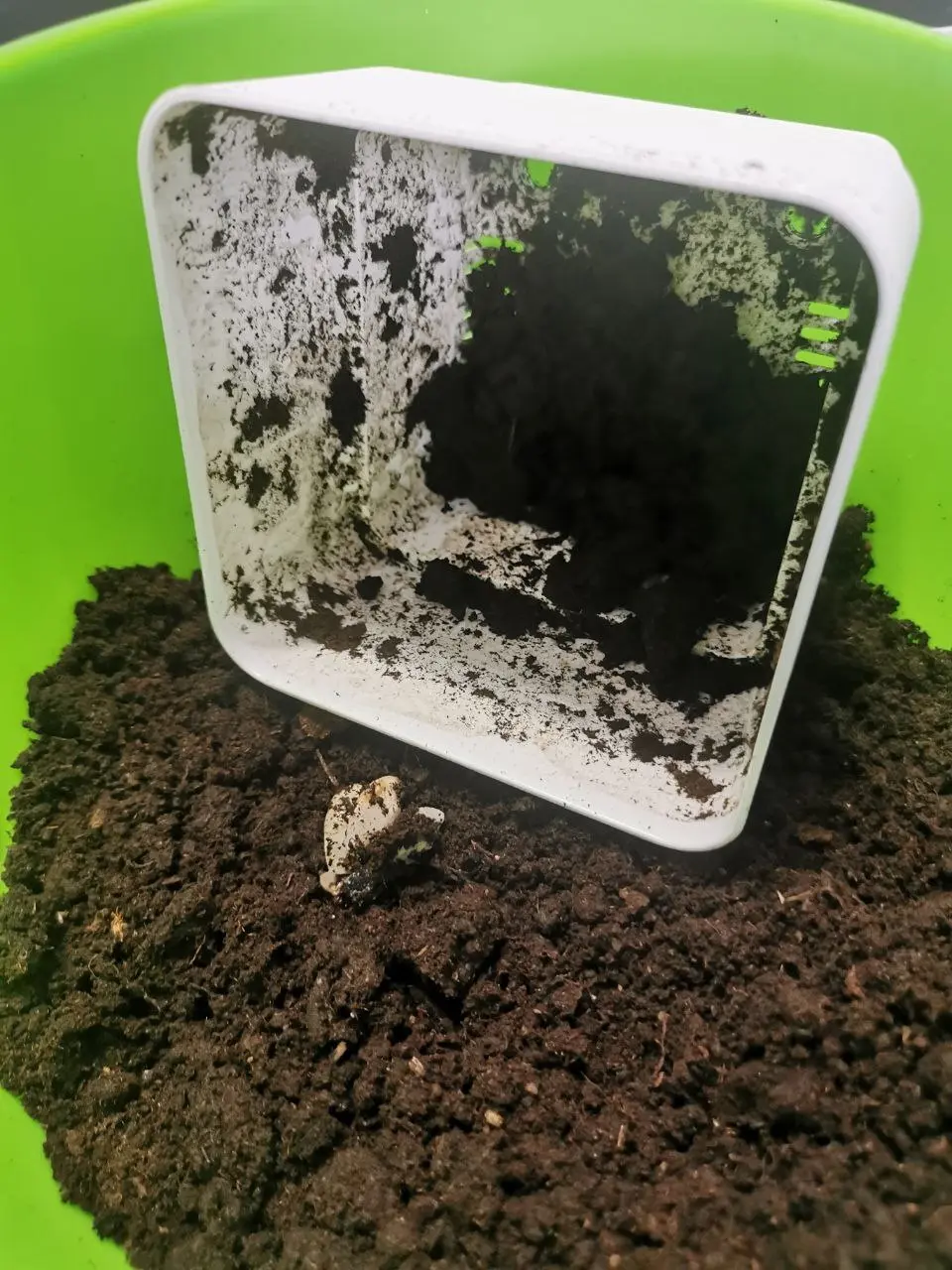 Press F to pay respects