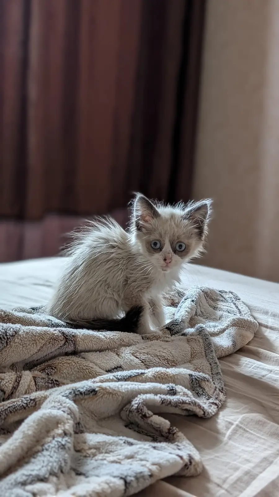 3-ий день дома, всё ещё в ахуе